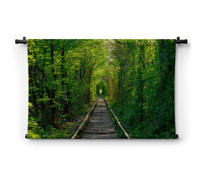 Spoorweg in de lentetunnel van de liefde