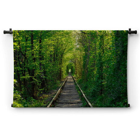 Spoorweg in de lentetunnel van de liefde