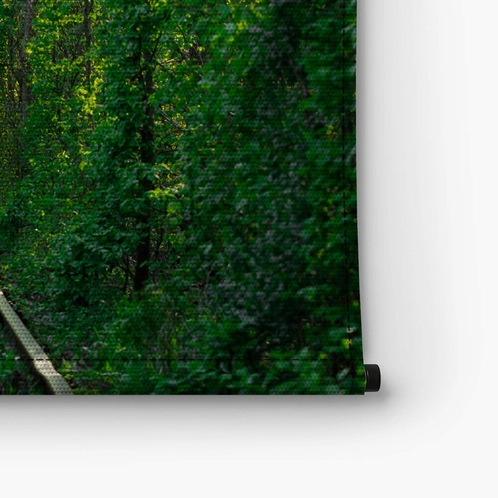 Spoorweg in de lentetunnel van de liefde