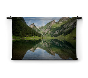 Bergmeer in groene Alpen