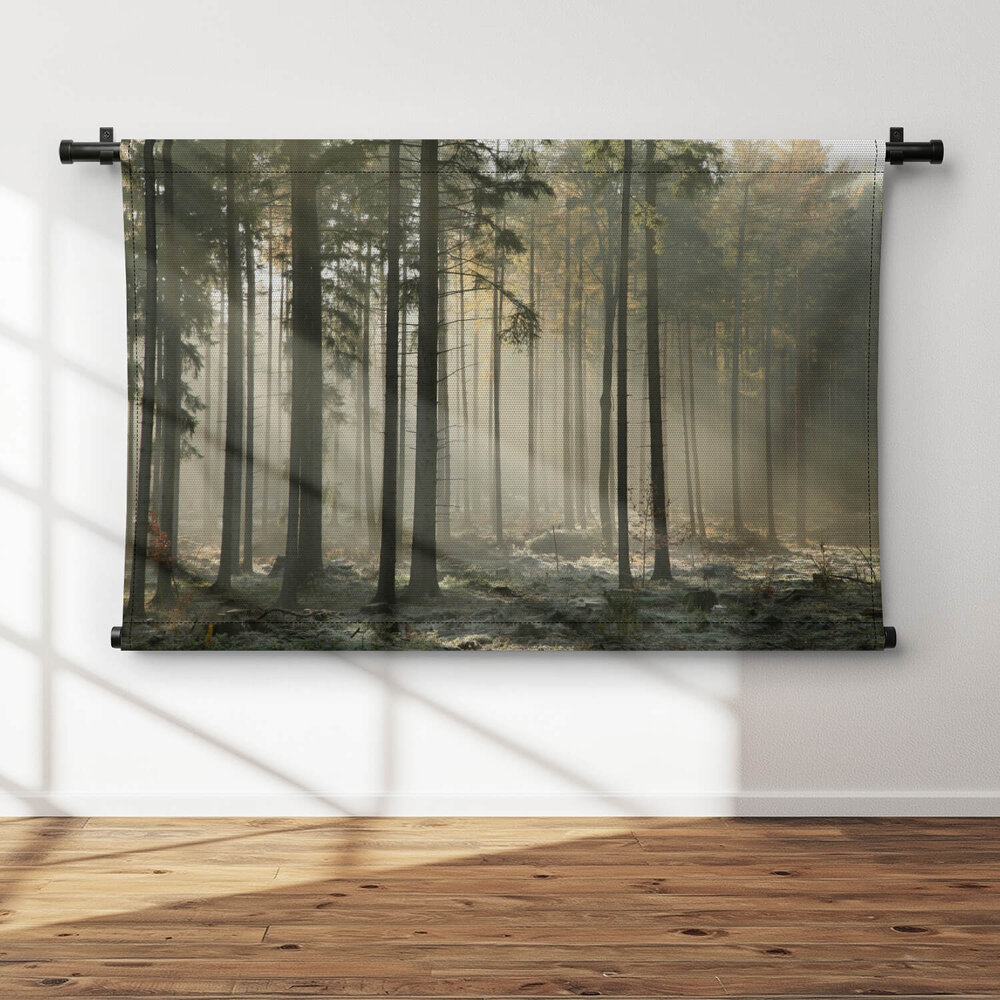 Zonnestralen door de bomen