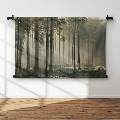 Zonnestralen door de bomen