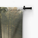 Zonnestralen door de bomen