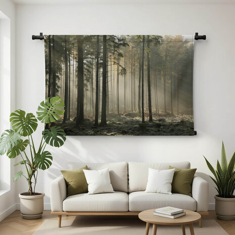 Zonnestralen door de bomen