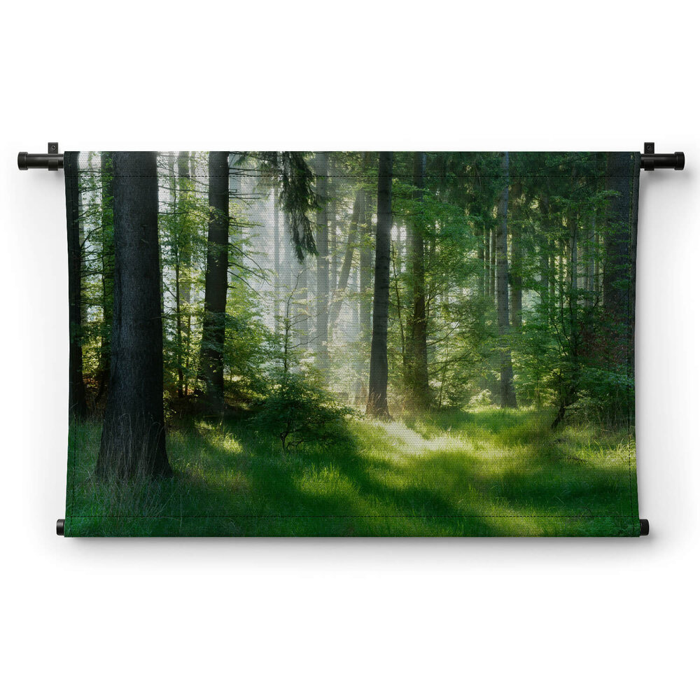 Door zon verlicht gras tussen de bomen