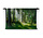 Door zon verlicht gras tussen de bomen