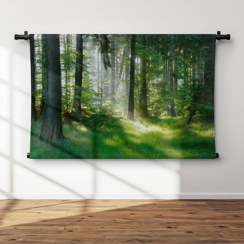 Door zon verlicht gras tussen de bomen