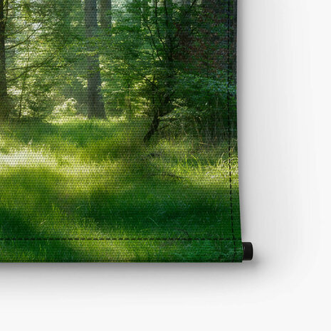 Door zon verlicht gras tussen de bomen
