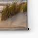 Prachtige Hollandse duinen en zee