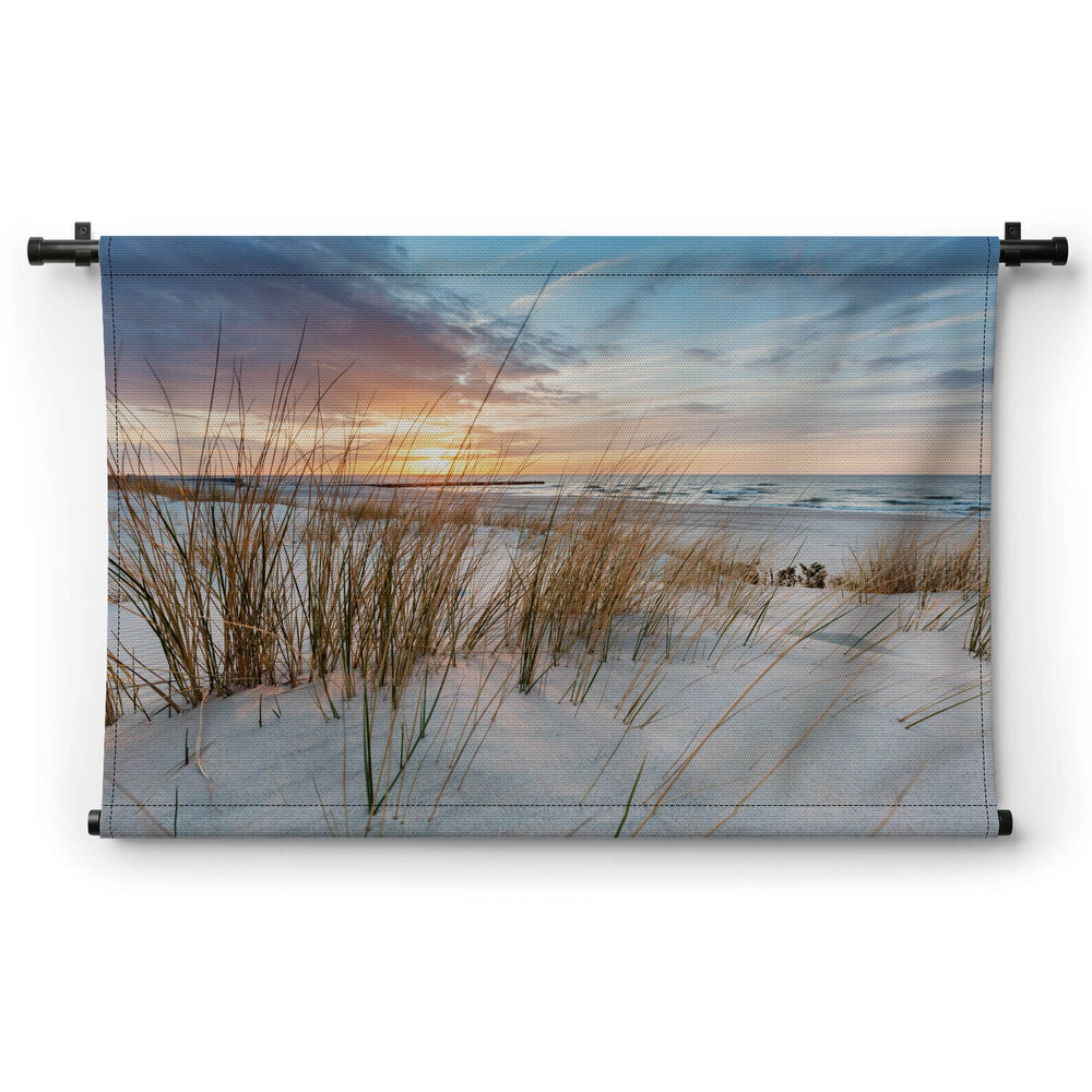 Strandgras op de duinen