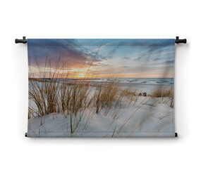 Strandgras op de duinen