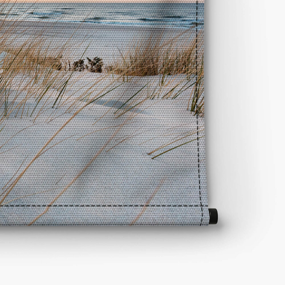 Strandgras op de duinen