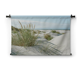 Zomerse duinen