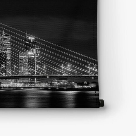 Rotterdamse Erasmusbrug in zwart-wit