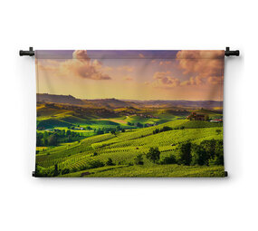 Uitgestrekte Italiaanse wijngaarden bij zonsondergang