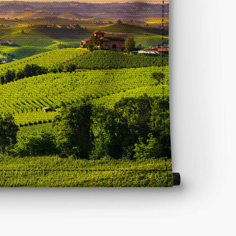Uitgestrekte Italiaanse wijngaarden bij zonsondergang