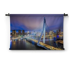 Rotterdam Erasmus brug in de avond