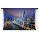 Rotterdam Erasmus brug in de avond