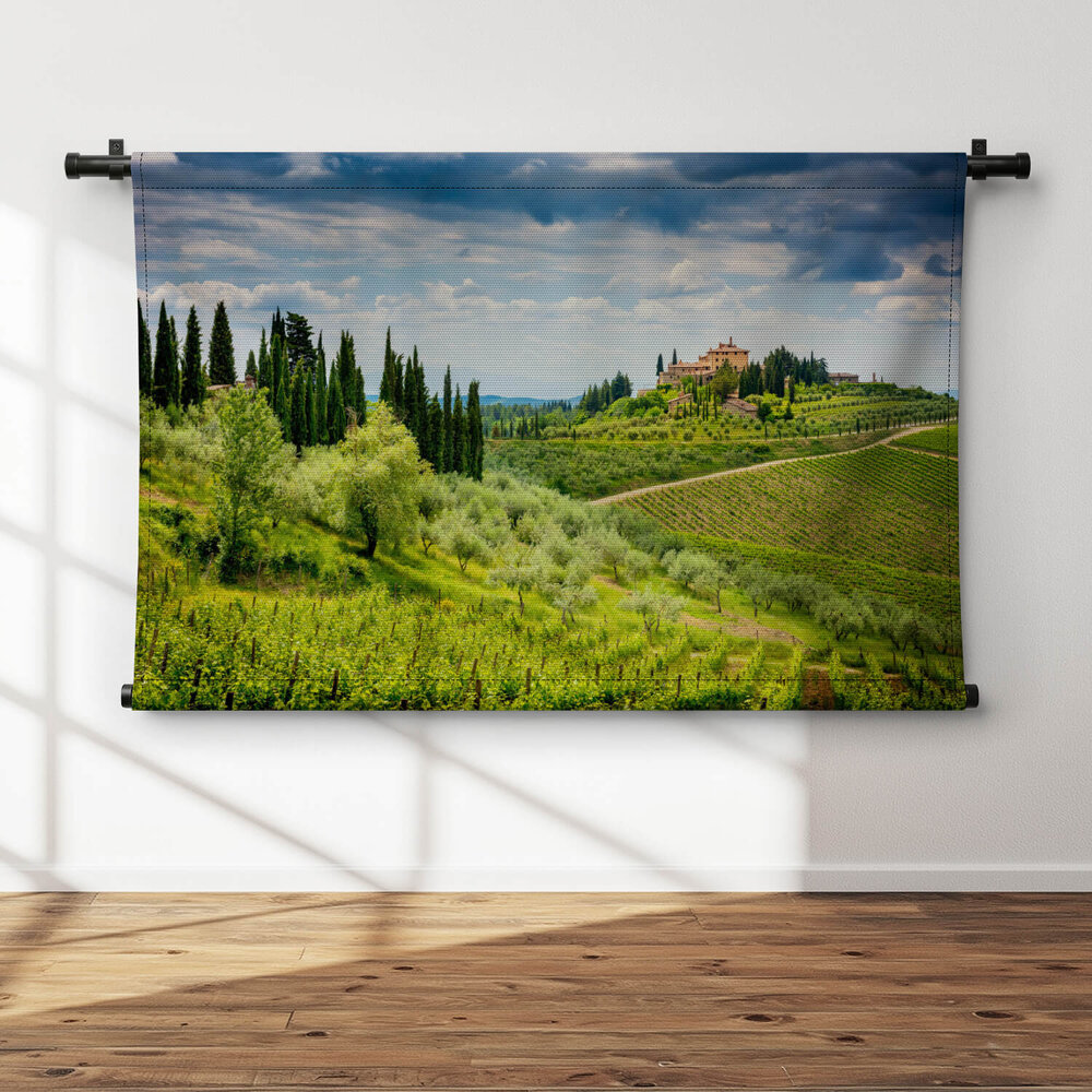 Italiaanse wijngaarden van Chianti