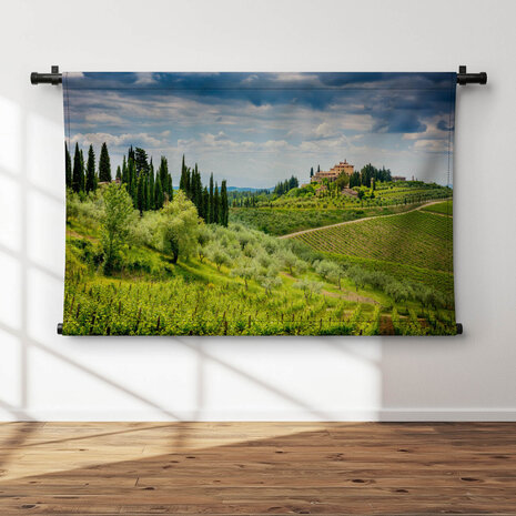 Italiaanse wijngaarden van Chianti