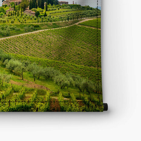 Italiaanse wijngaarden van Chianti