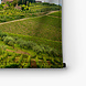 Italiaanse wijngaarden van Chianti