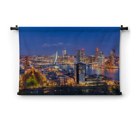 Stadsgezicht Rotterdam met Erasmusbrug