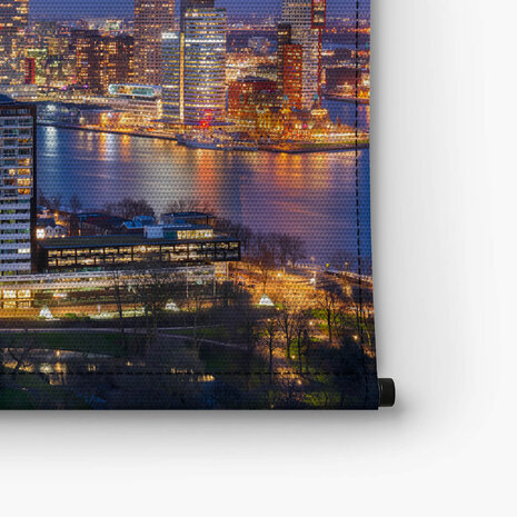 Stadsgezicht Rotterdam met Erasmusbrug