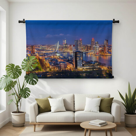 Stadsgezicht Rotterdam met Erasmusbrug