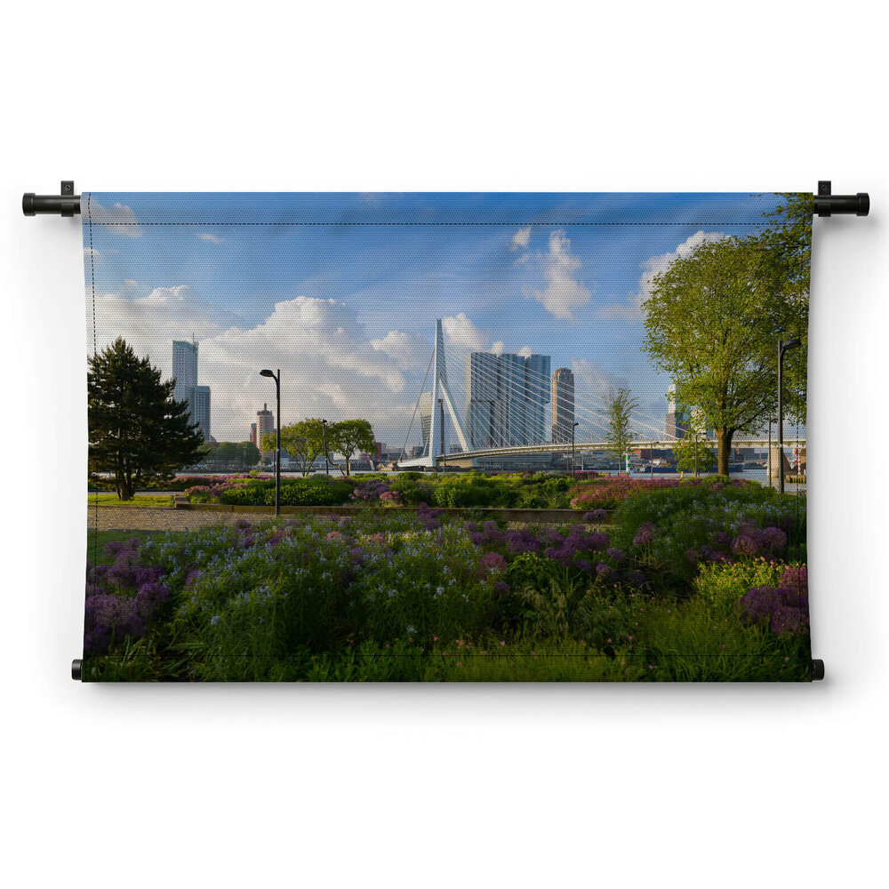 Panorama van Erasmusbrug in het groen