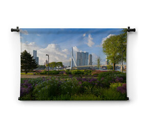 Panorama van Erasmusbrug in het groen