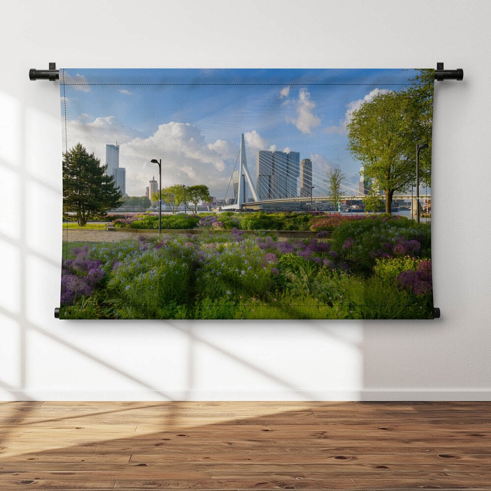 Panorama van Erasmusbrug in het groen