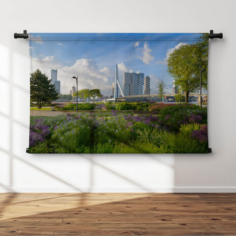 Panorama van Erasmusbrug in het groen