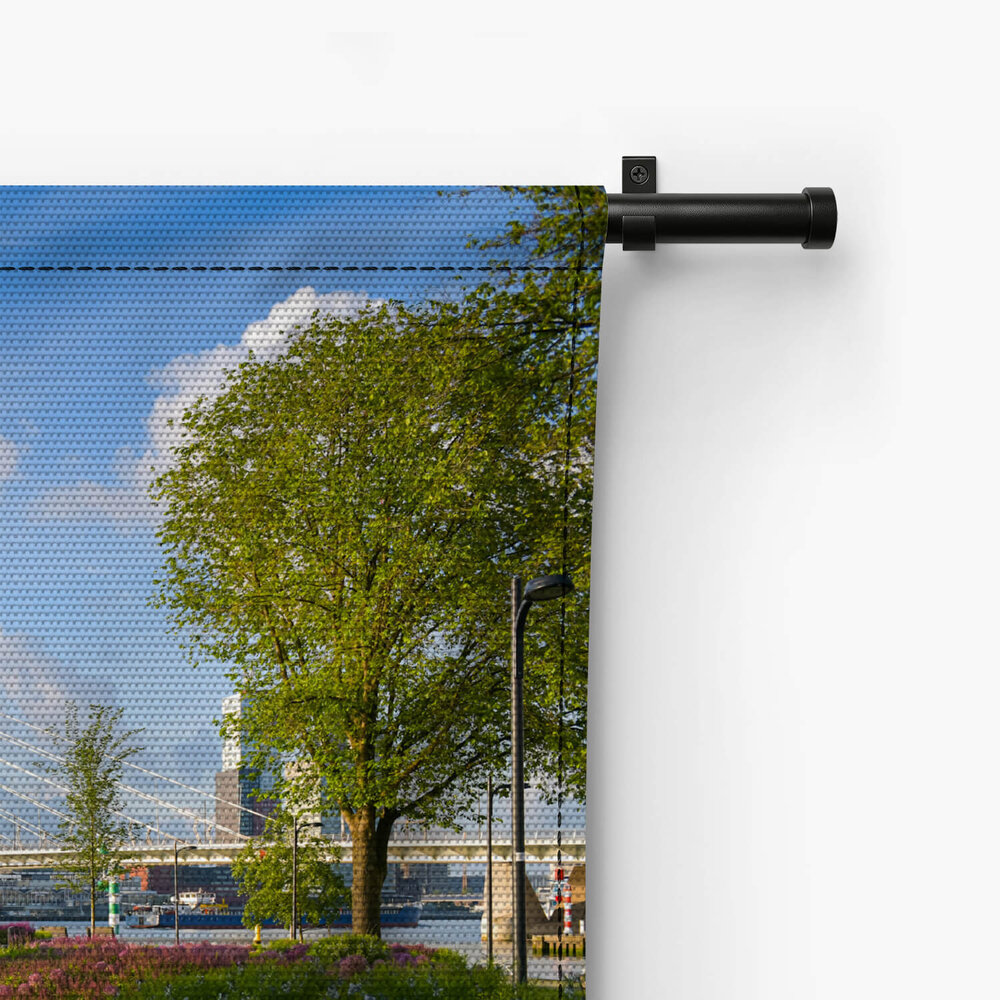 Panorama van Erasmusbrug in het groen