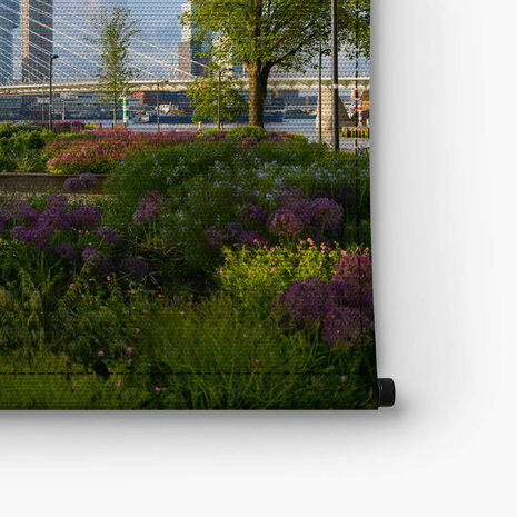 Panorama van Erasmusbrug in het groen