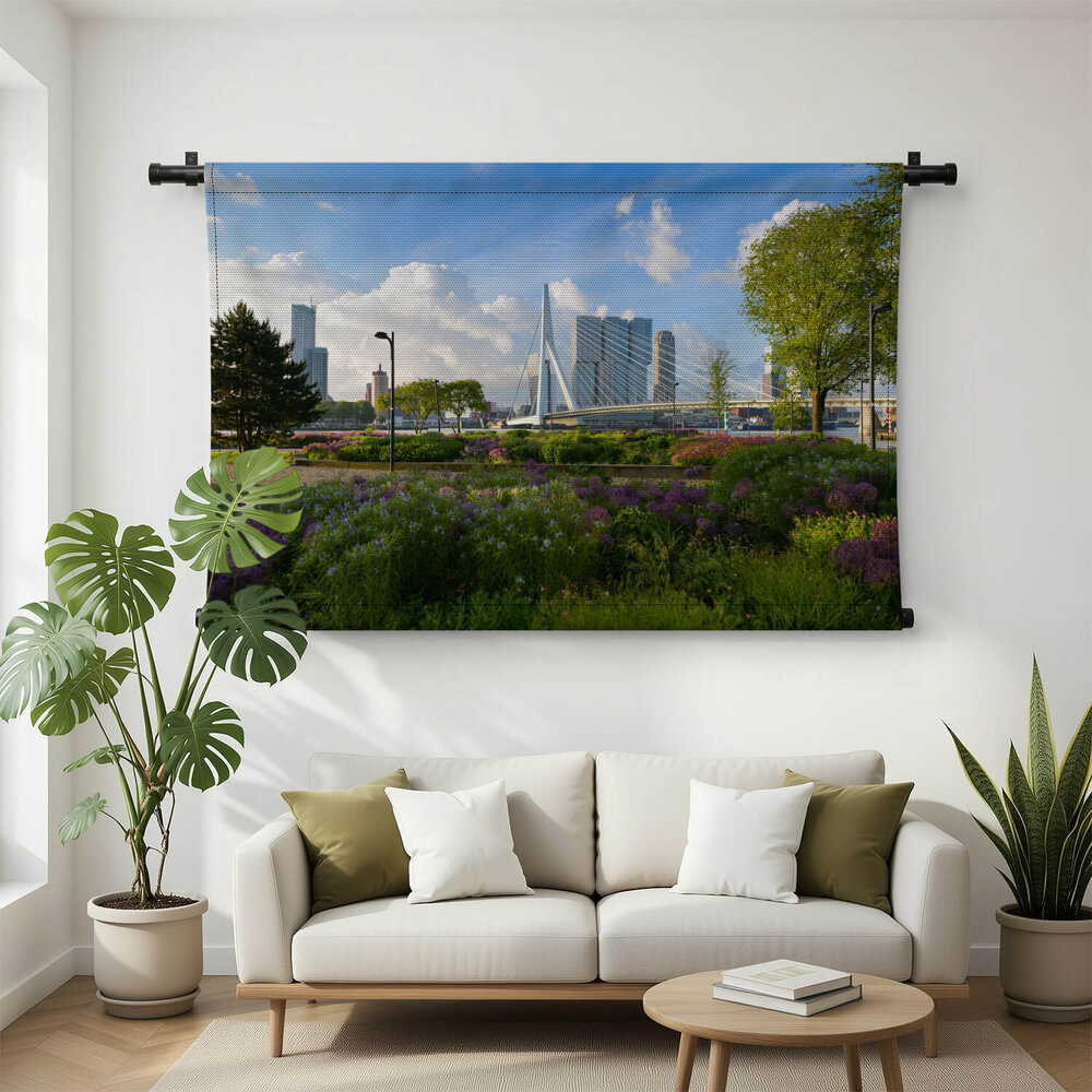 Panorama van Erasmusbrug in het groen