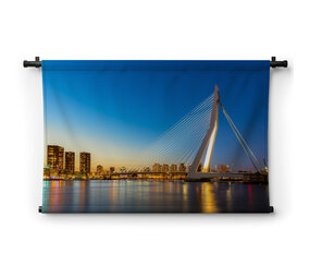 Iconische Erasmusbrug van Rotterdam