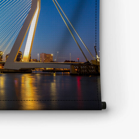 Iconische Erasmusbrug van Rotterdam