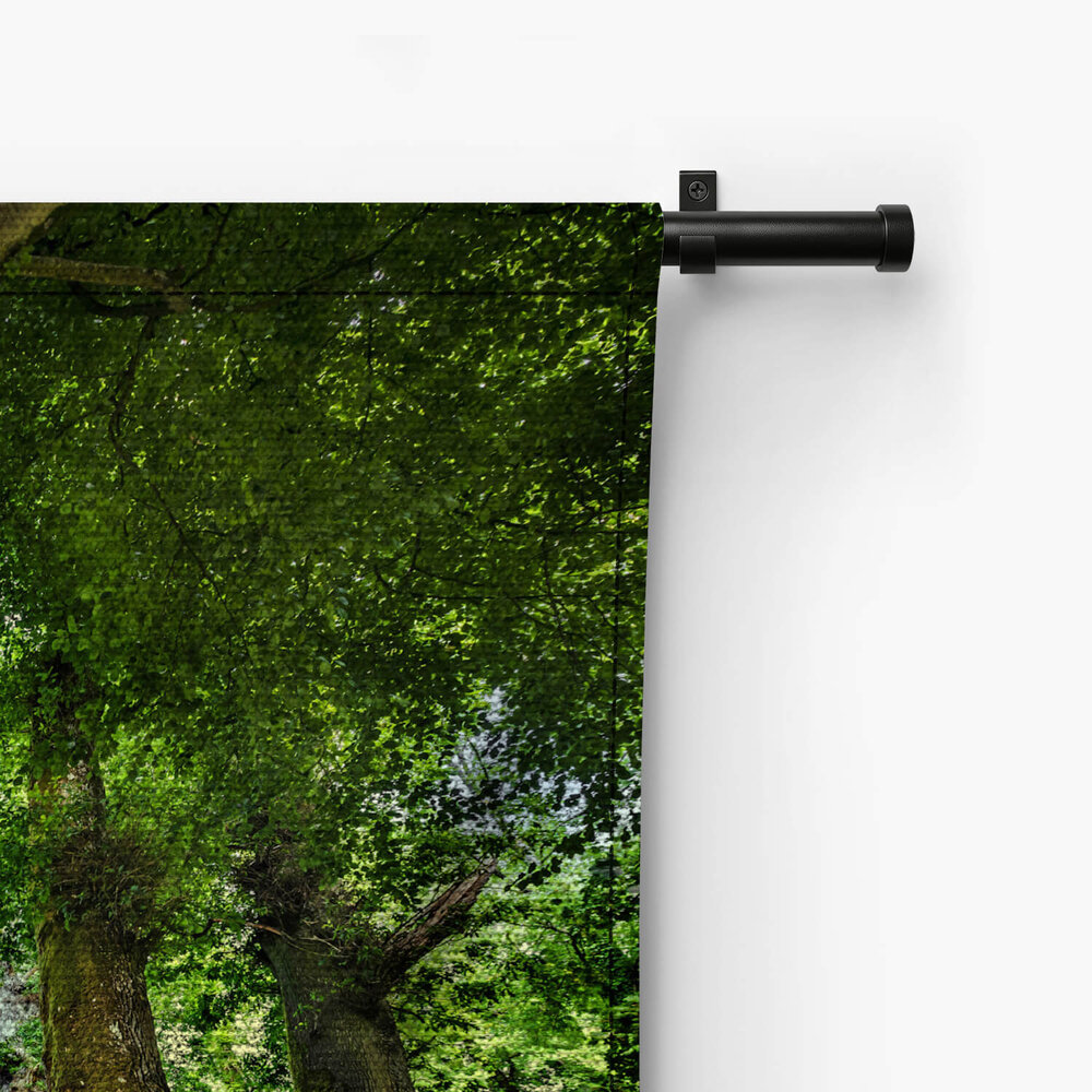 Grote oude boom