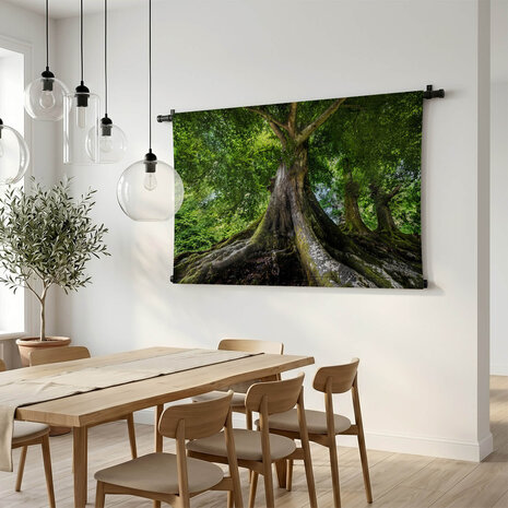 Grote oude boom