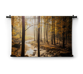 Beekje in herfstbos