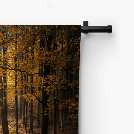 Beekje in herfstbos