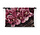 Roze orchideeën in retrostijl