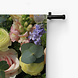 Pastelkleurige bloemen en eucalyptustakken