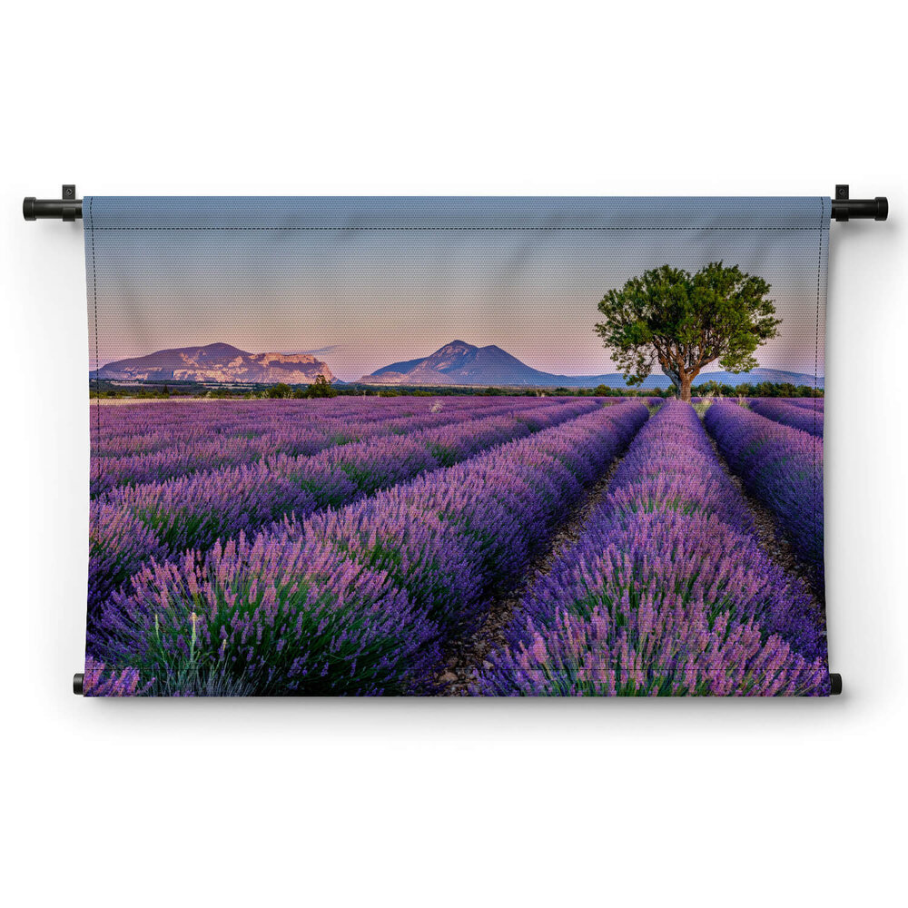 Lavendelveld met prachtig uitzicht