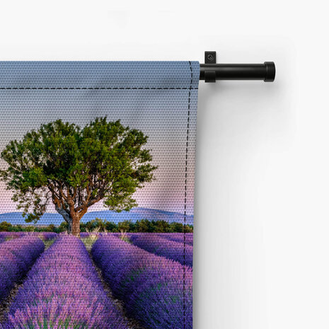 Lavendelveld met prachtig uitzicht