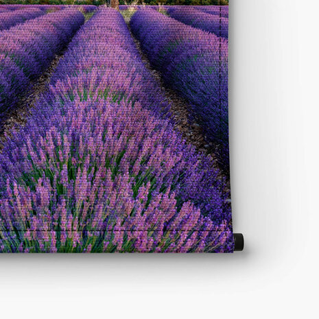 Lavendelveld met prachtig uitzicht