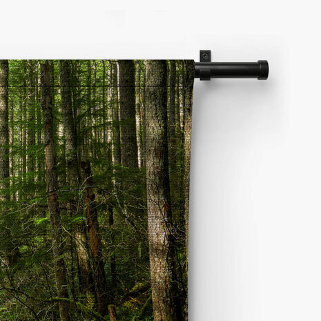 Bospad tussen de bomen