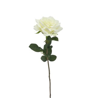 Roos Kunstbloem | Kleur: Natuurlijk Wit | ↕ Lengte 70 cm | Per stuk