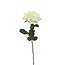 Roos Kunstbloem | Kleur: Natuurlijk Wit | ↕ Lengte 70 cm | Per stuk